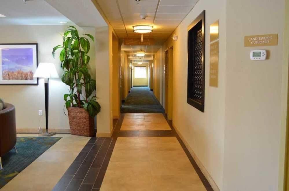 Candlewood Suites San Antonio Airport By Ihg Exterior foto